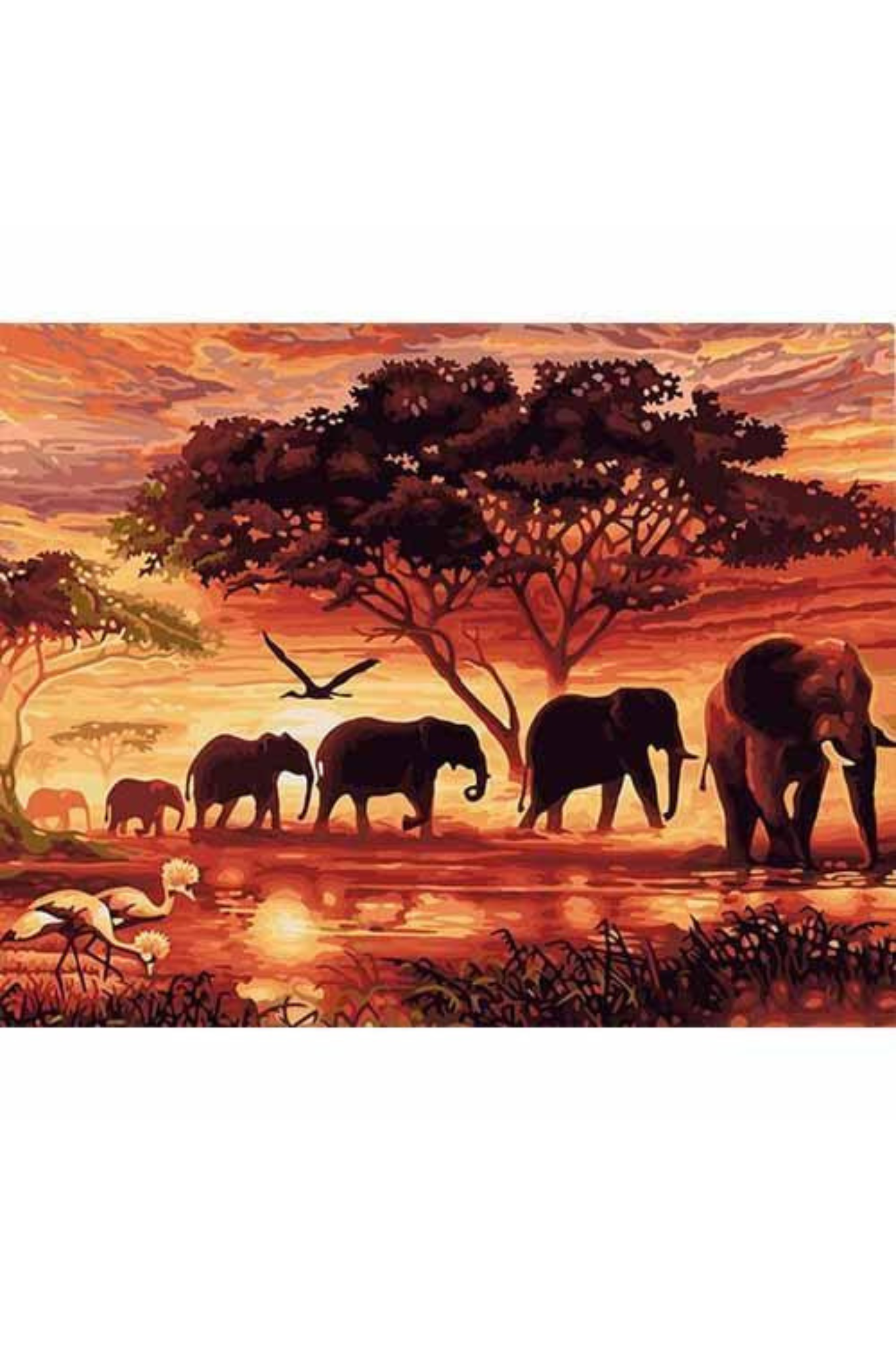 Animals DIY Painting By Numbers Modern Wall Art Hand Painted Acrylic Picture