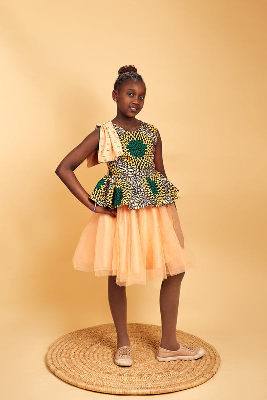 Princess Ankara gown