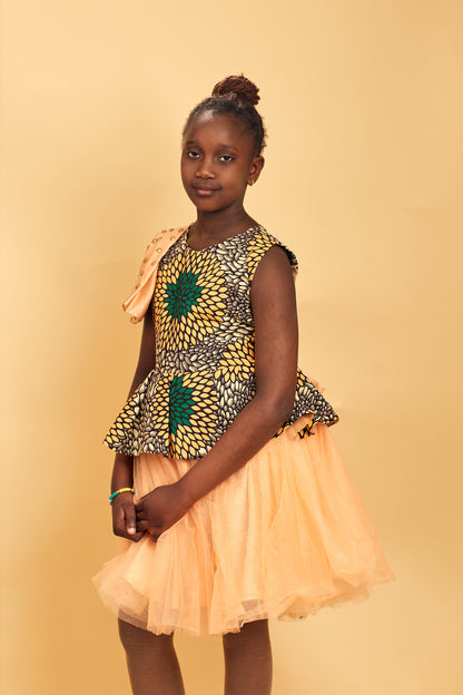 Princess Ankara gown