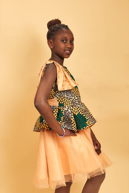 Princess Ankara gown